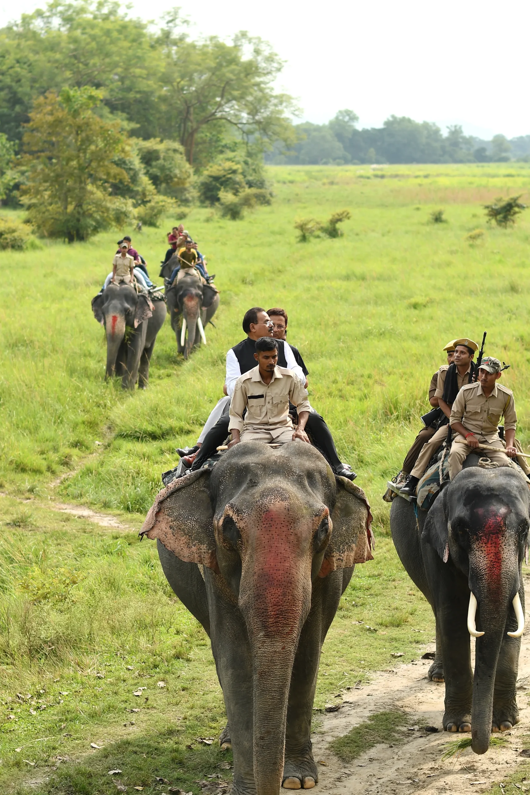 kaziranga safari