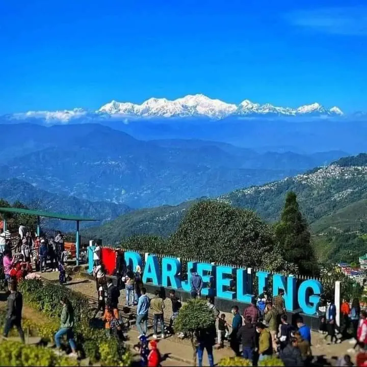 derjeling_result