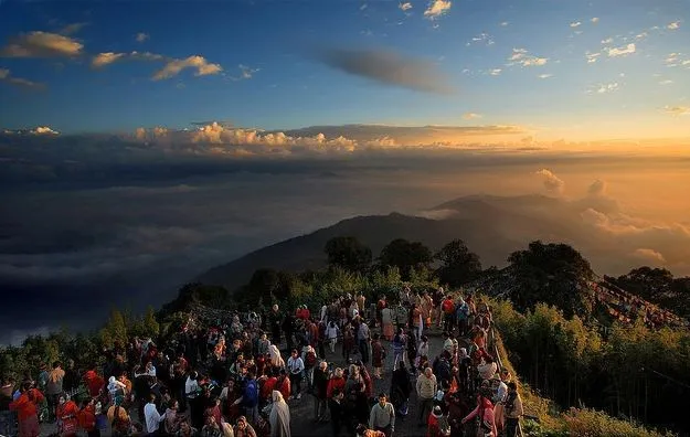 tiger hill_result
