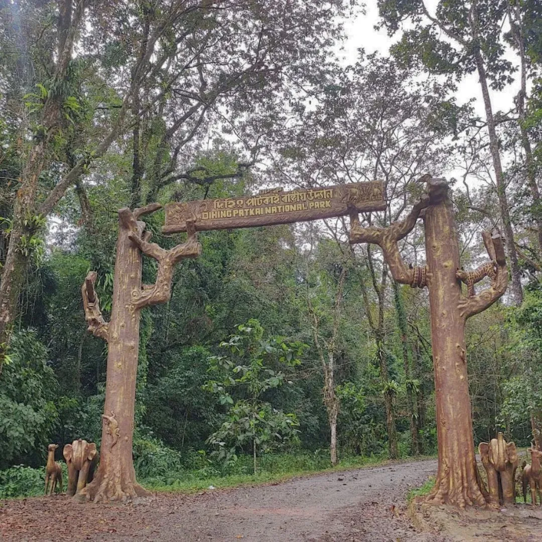 dihing patkai