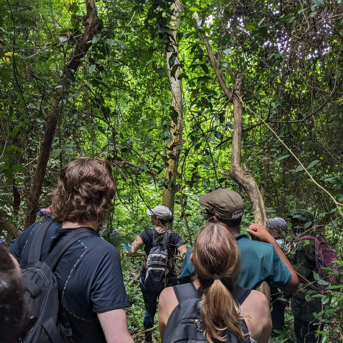 treking in dihing patkai